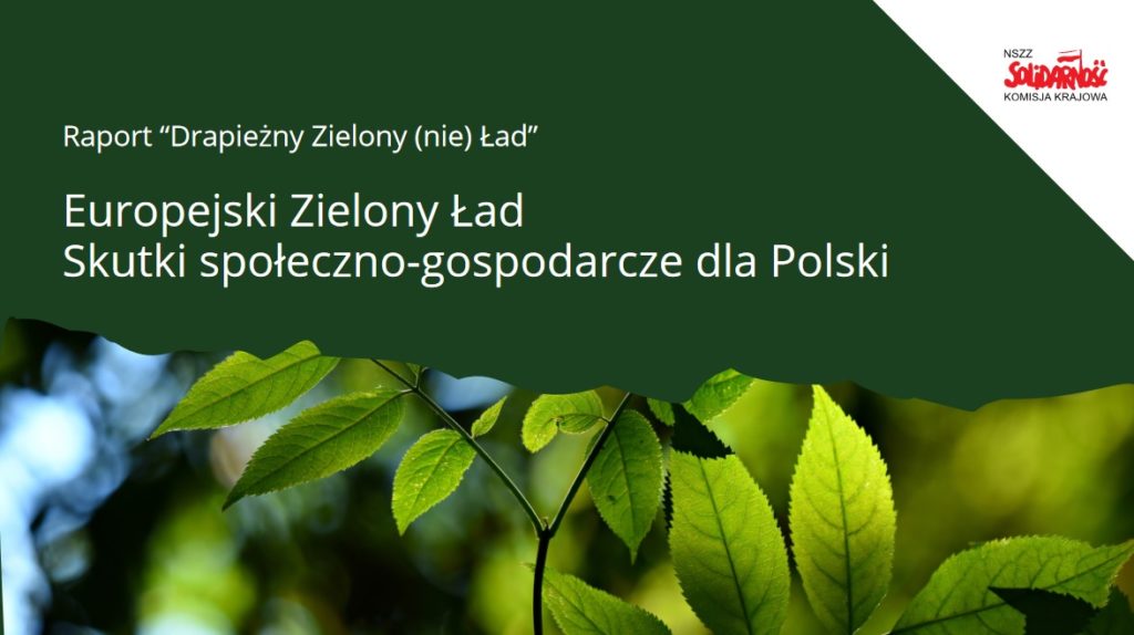 zielony nieład