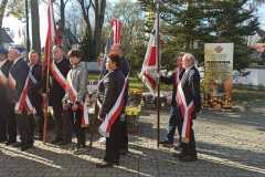 IMG-20241028-WA0041