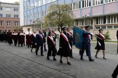 54040293538_bcf25afaea_k