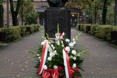 54040295363_b6e703018b_k