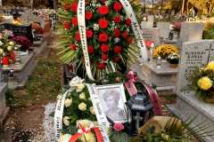 IMG-20241123-WA0005