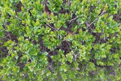 IMG-20230410-WA0010