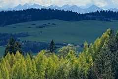 IMG-20250505-WA0038