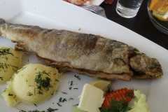 IMG-20250505-WA0060