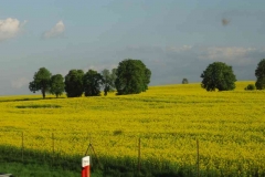 XV-Wiosenny-Spacer-Górski 2019
