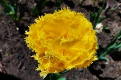1683050977683_1023x768