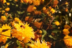 1683050977699_576x768