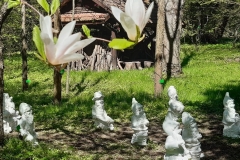 1683050977725_829x768