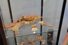 IMG-20240604-WA0005