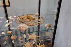 IMG-20240604-WA0010