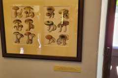 IMG-20240604-WA0011