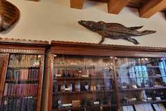 IMG-20240604-WA0014