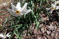 IMG-20240604-WA0019