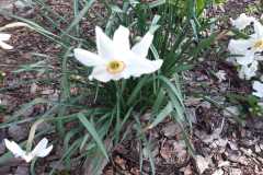 IMG-20240604-WA0028