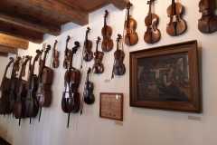 IMG-20240604-WA0031