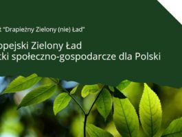 Raport “Drapieżny Zielony (nie) Ład”