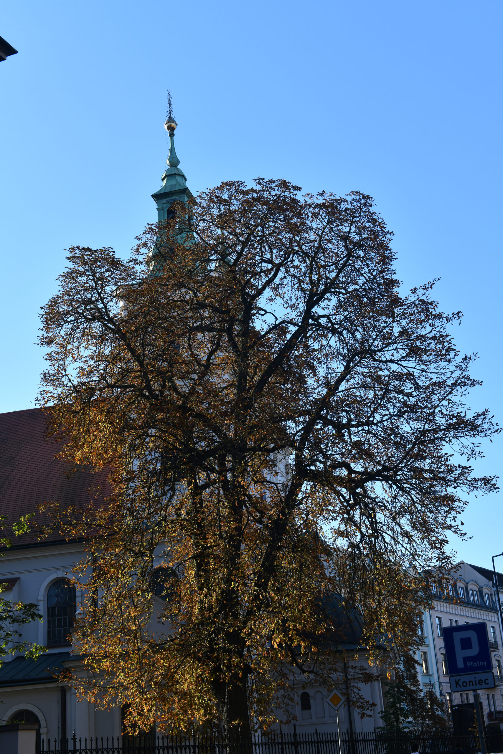 DSC_7460_1